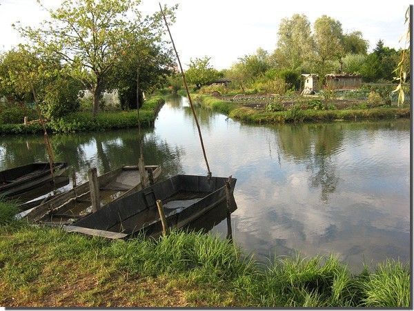 les barques des marais 8
