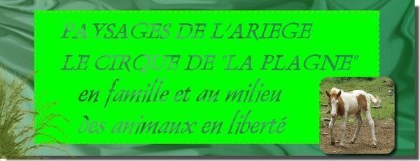 L'ARIEGE EN LIBERTE