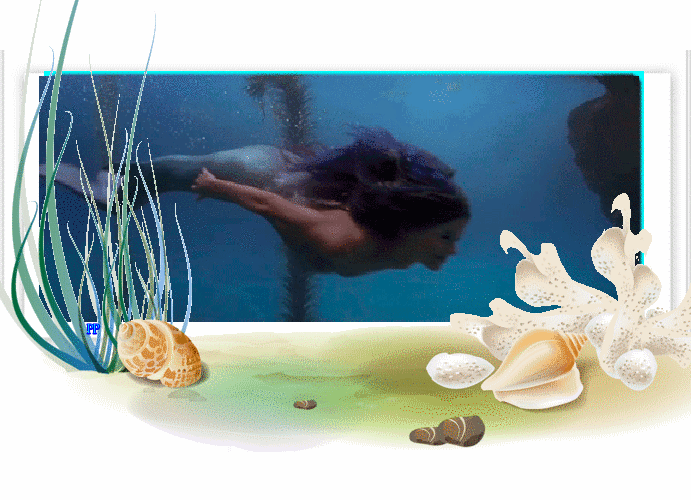 Rencontres amicales agde