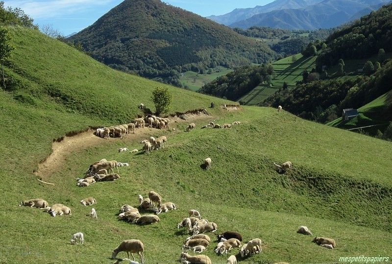 ariege-paysage